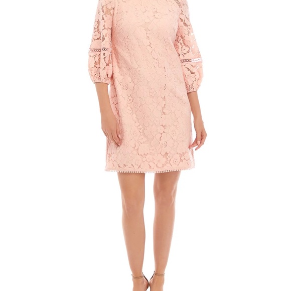 Vince Camuto Petite
Lace Shift Blush Pink  Dress Size 6 Petite 6P - Picture 13 of 15